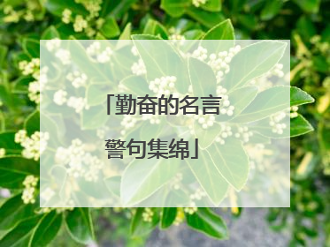 勤奋的名言警句集绵