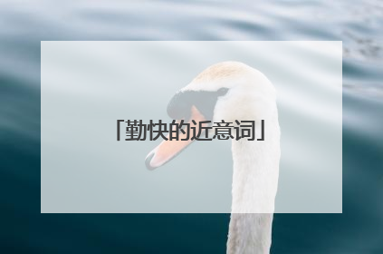 勤快的近意词