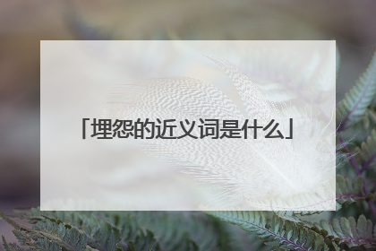 埋怨的近义词是什么