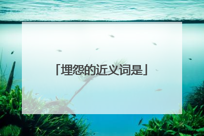 埋怨的近义词是