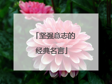 坚强意志的经典名言