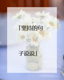 坚持的句子说说