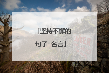 坚持不懈的句子 名言