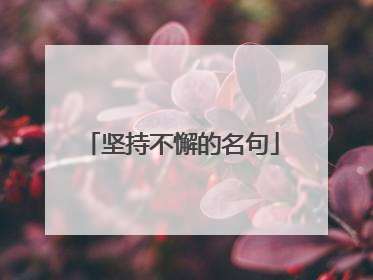 坚持不懈的名句