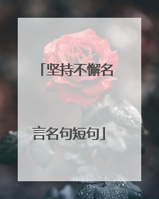坚持不懈名言名句短句