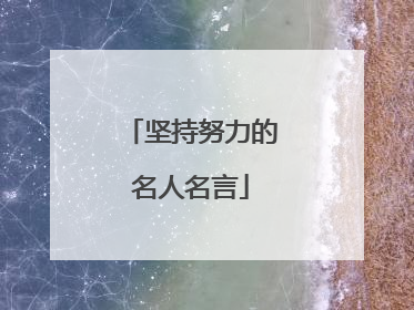 坚持努力的名人名言