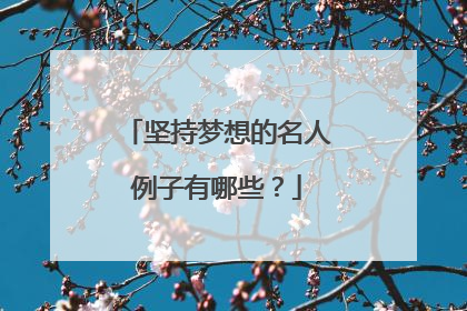 坚持梦想的名人例子有哪些？