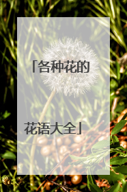 各种花的花语大全