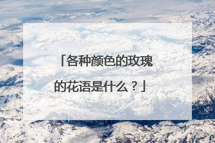 各种颜色的玫瑰的花语是什么?