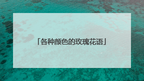 各种颜色的玫瑰花语