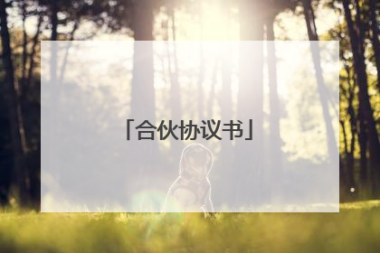 合伙协议书