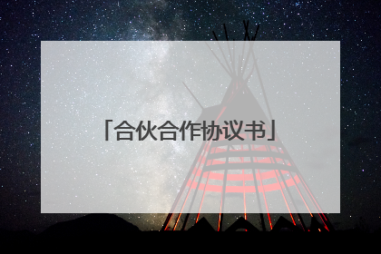 合伙合作协议书