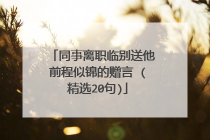 同事离职临别送他前程似锦的赠言 (精选20句)