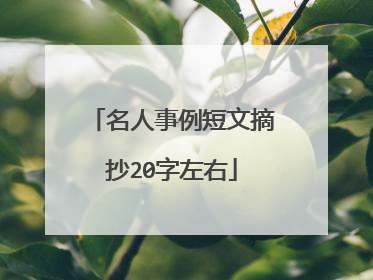 名人事例短文摘抄20字左右