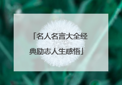 名人名言大全经典励志人生感悟