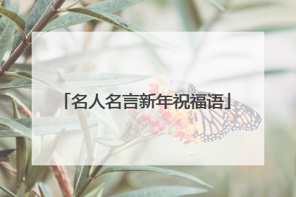 名人名言新年祝福语