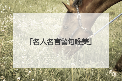 名人名言警句唯美