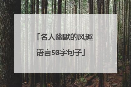 名人幽默的风趣语言50字句子