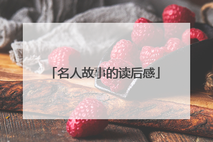 名人故事的读后感
