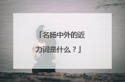 名扬中外的近力词是什么？