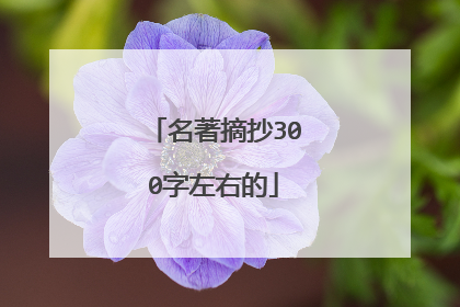 名著摘抄300字左右的