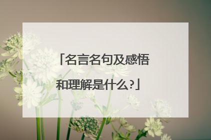 名言名句及感悟和理解是什么?