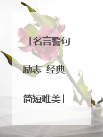 名言警句励志 经典简短唯美