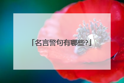 名言警句有哪些?