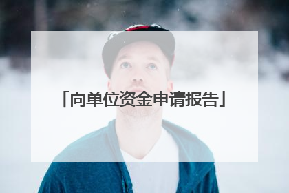 向单位资金申请报告