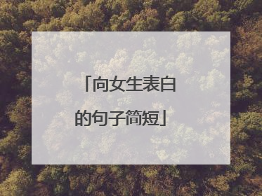向女生表白的句子简短