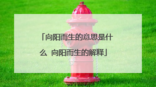 向阳而生的意思是什么 向阳而生的解释