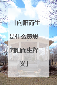 向阳而生是什么意思向阳而生释义