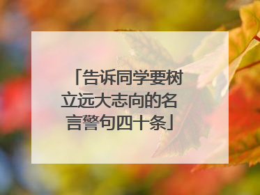 告诉同学要树立远大志向的名言警句四十条