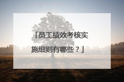 员工绩效考核实施细则有哪些？