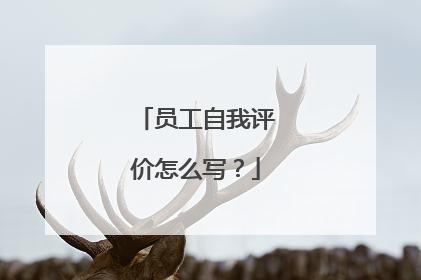 员工自我评价怎么写？