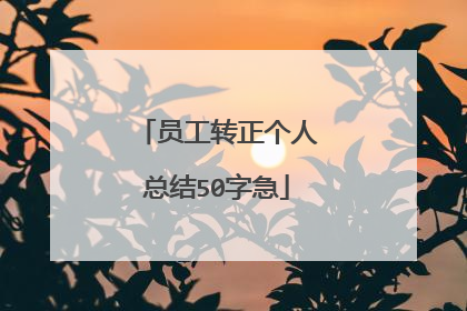 员工转正个人总结50字急
