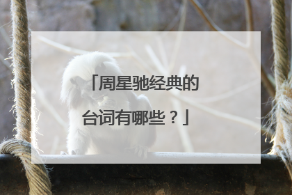 周星驰经典的台词有哪些？