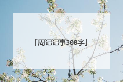 周记记事300字