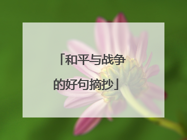 和平与战争的好句摘抄