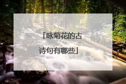 咏菊花的古诗句有哪些