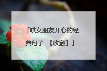 哄女朋友开心的经典句子 【收藏】