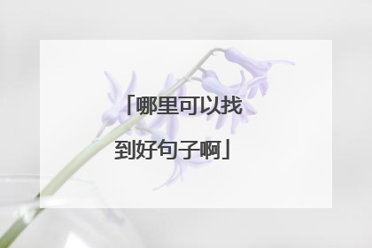 哪里可以找到好句子啊