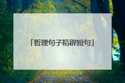哲理句子精辟短句