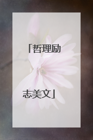 哲理励志美文
