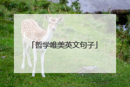 哲学唯美英文句子