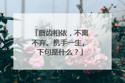 唇齿相依，不离不弃。携手一生, 下句是什么？