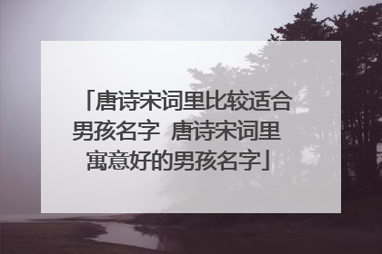 唐诗宋词里比较适合男孩名字 唐诗宋词里寓意好的男孩名字
