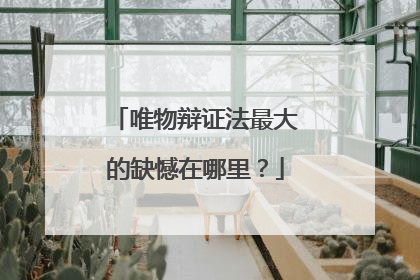 唯物辩证法最大的缺憾在哪里?