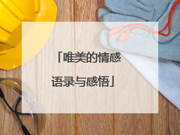 唯美的情感语录与感悟