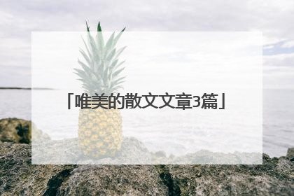 唯美的散文文章3篇
